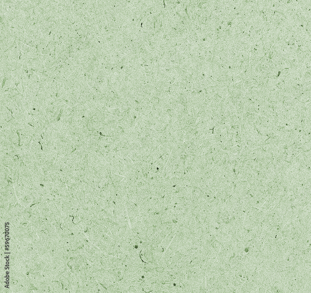 greenish cardboard texture greenish cardboard texture