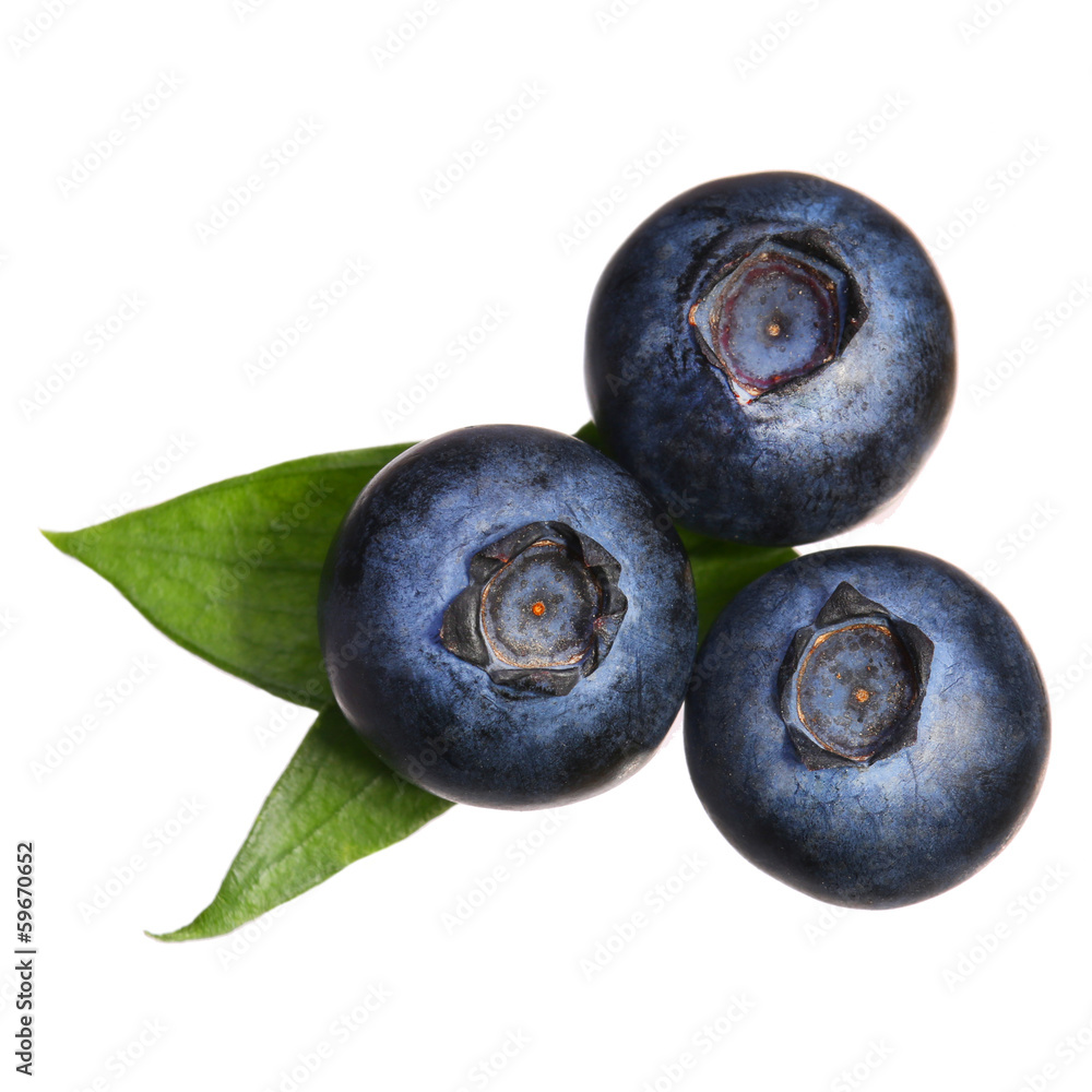 Obraz premium Blueberries with leaves isolated