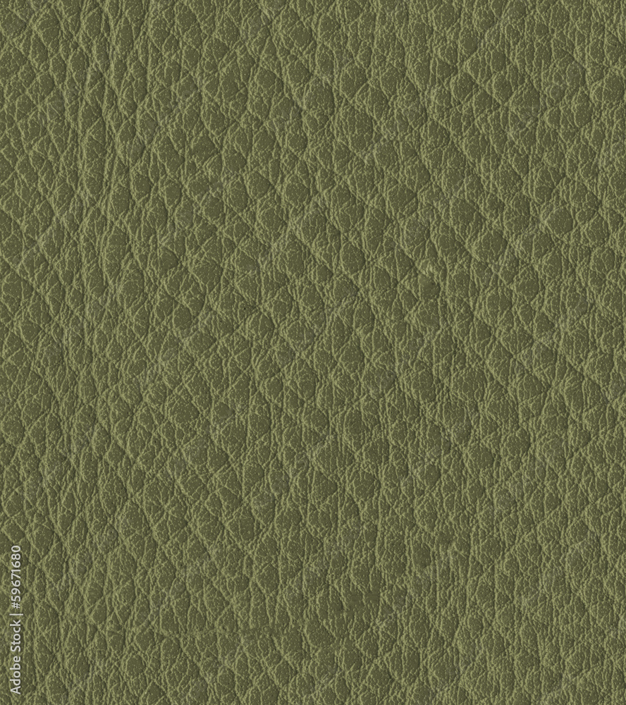Fototapeta premium green leather