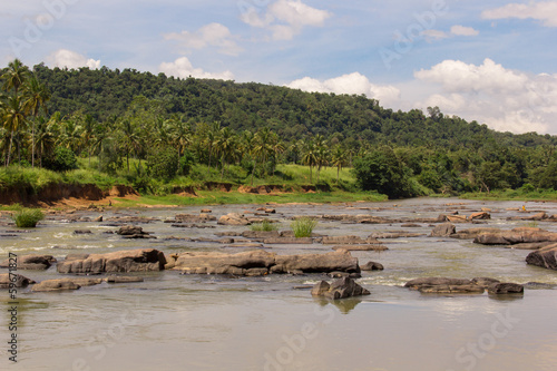River in tropical jungle with rocks