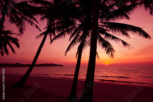 palm trees silhouette on sunset tropical beach. Tropical sunset © EwaStudio