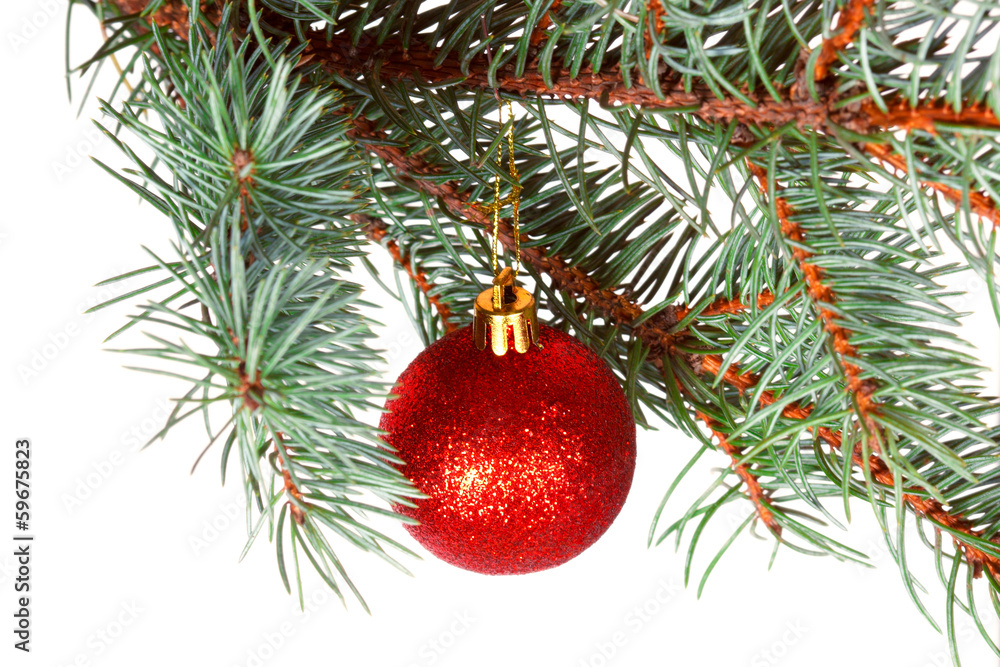Red ball on the branch of Christmas tree Red ball on the branch of Christmas tree