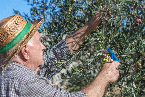 farmer at work