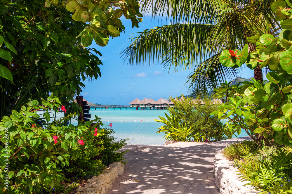 Fototapeta premium Holidays in Paradise