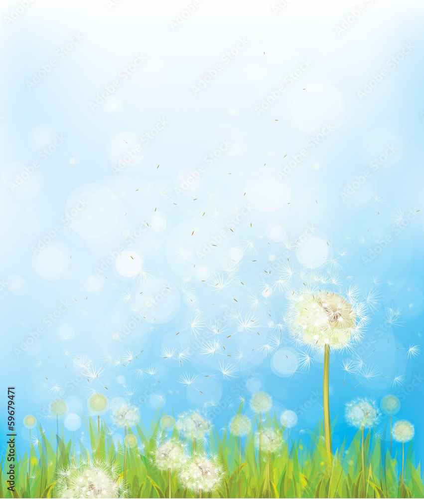 Naklejka premium Vector nature background with dandelions.