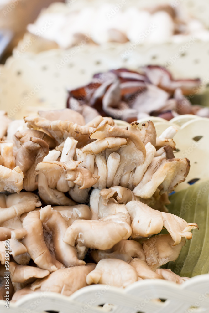 Mushroom Mushroom