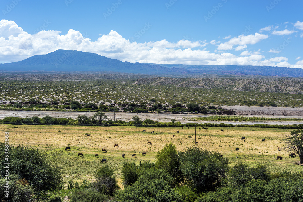 Obraz premium Famous Route 40 in Salta, Argentina.