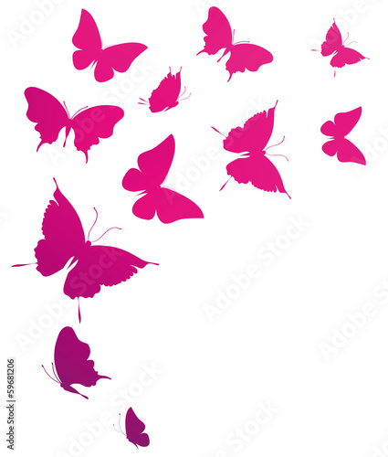 butterflies design