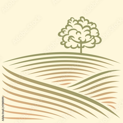 Rural landscape with fields and tree
