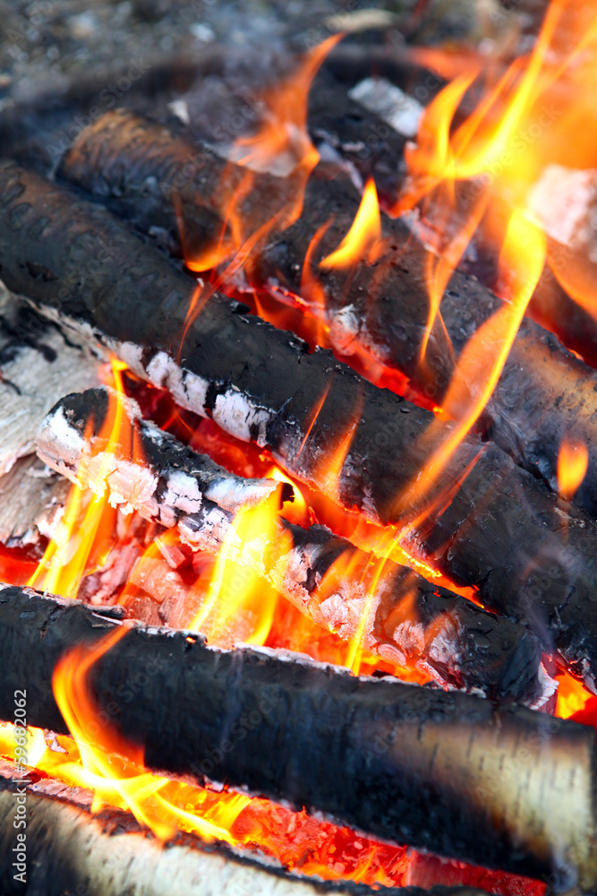 Campfire closeup Campfire closeup
