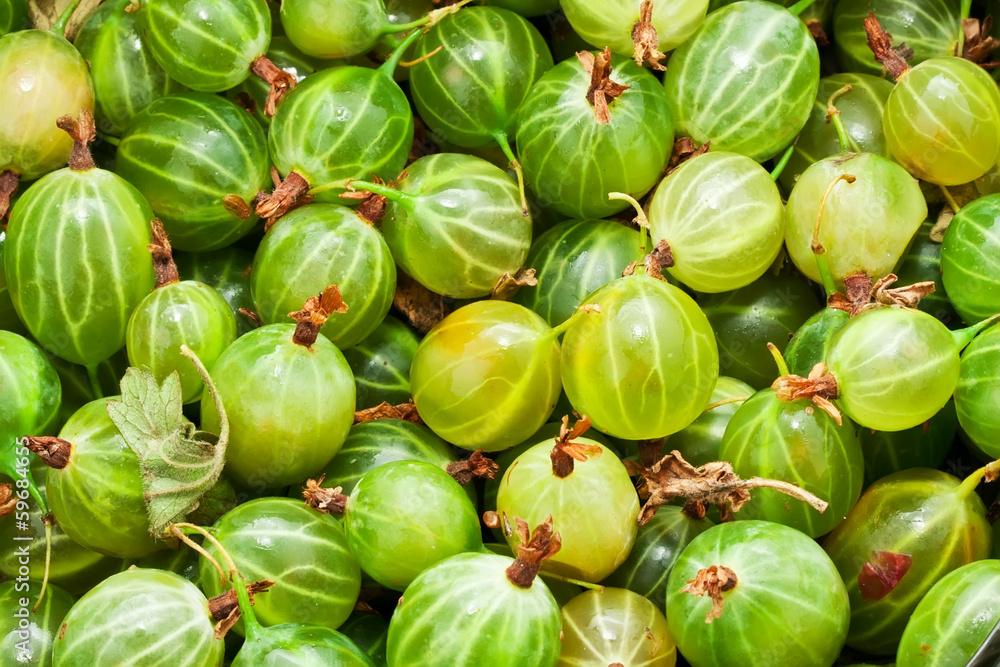 Gooseberries Gooseberries