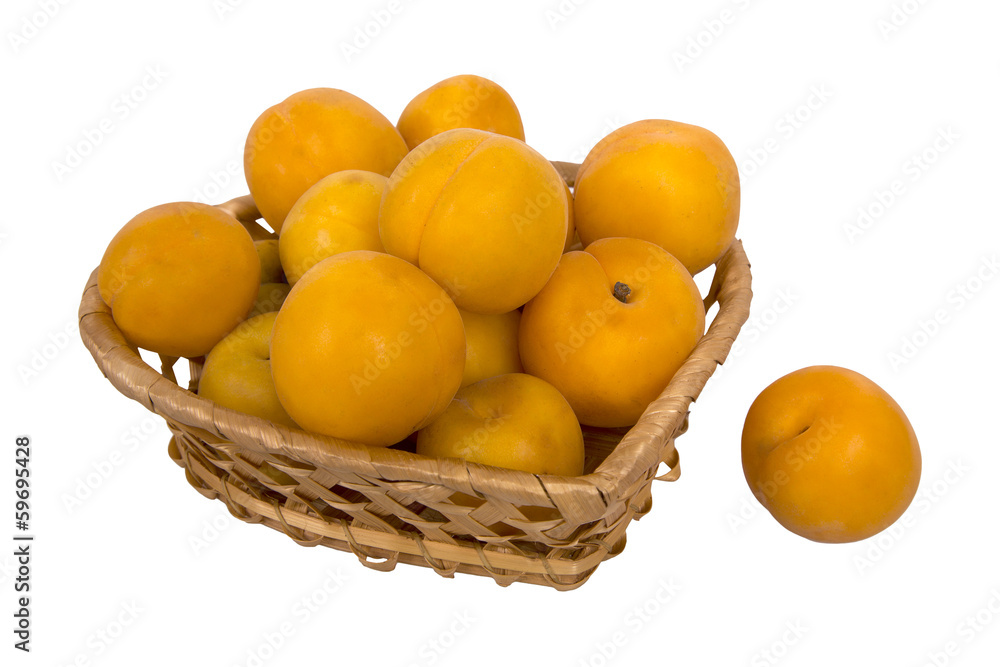 basket with apricots