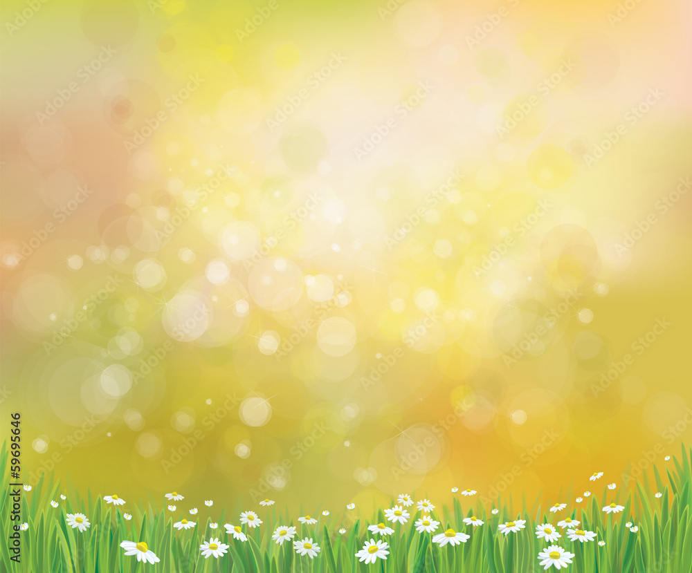 Obraz premium Vector sunshine background with grass and chamomiles.