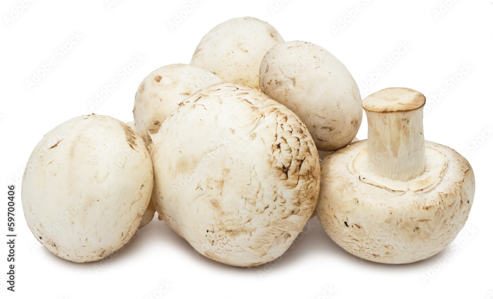 Champignon mushrooms Champignon mushrooms