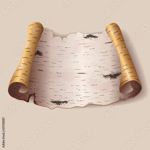 Piece of birch bark