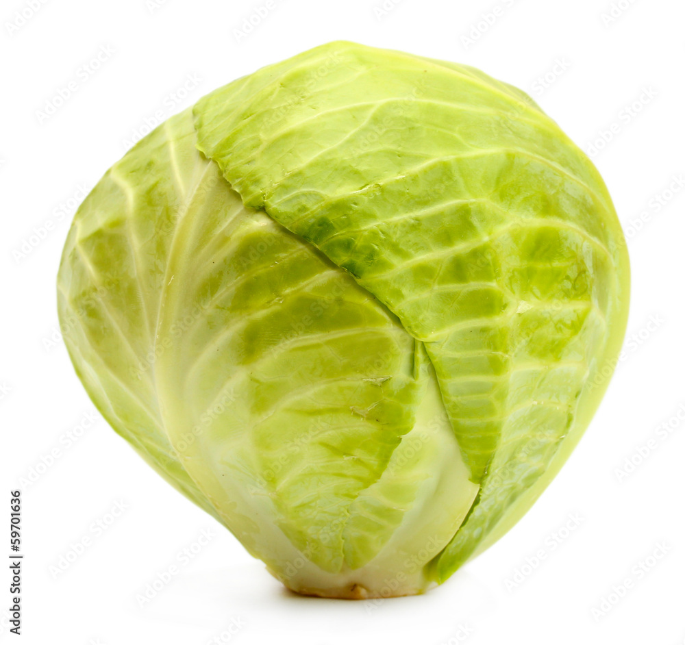 whole green cabbage isolated on white whole green cabbage isolated on white