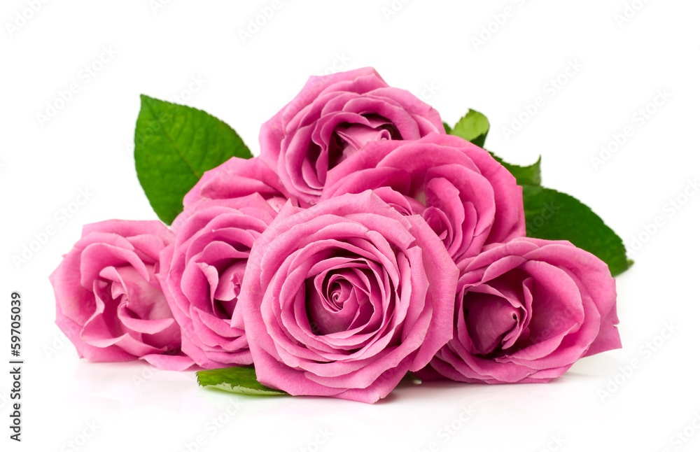 Naklejka premium bouquet of pink roses
