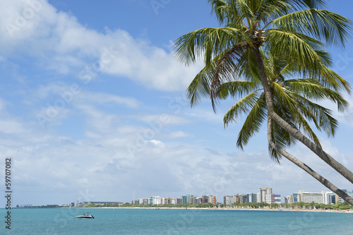 Wallpaper Mural Brazilian Beach Palm Trees Maceio Nordeste Brazil Torontodigital.ca