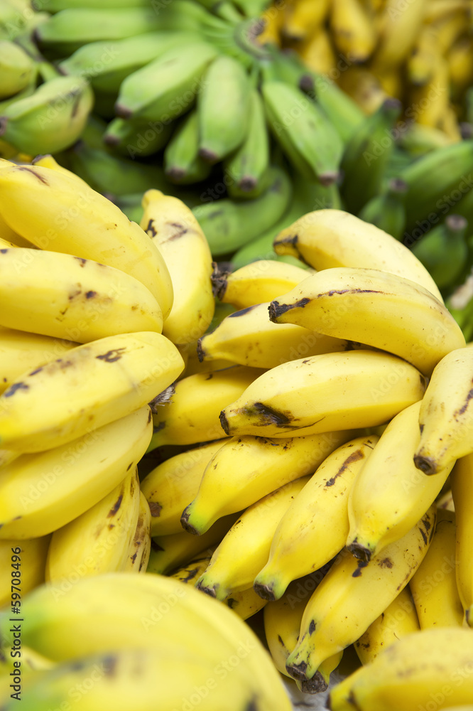 Ripe Yellow Banana Bunches at Brazilian Farmers Market