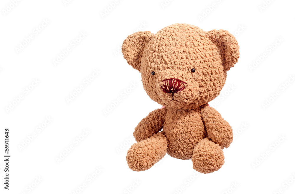 Obraz premium brown bear doll