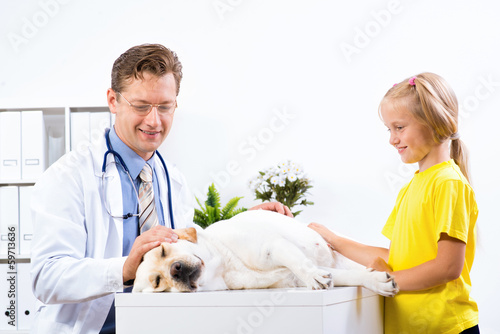 Fototapeta Naklejka Na Ścianę i Meble -  girl holds a dog in a veterinary clinic