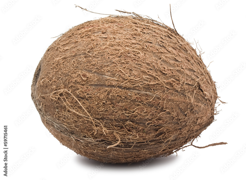 Coconut Coconut