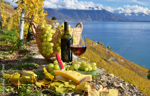 Tela Wine and cheese. Lavaux region, Switzerland