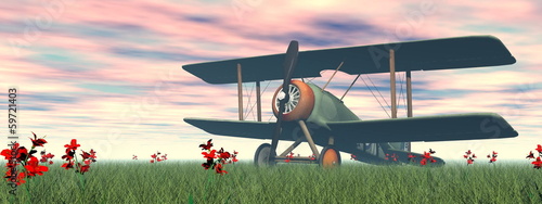 Plakat Biplane on the grass - 3D render