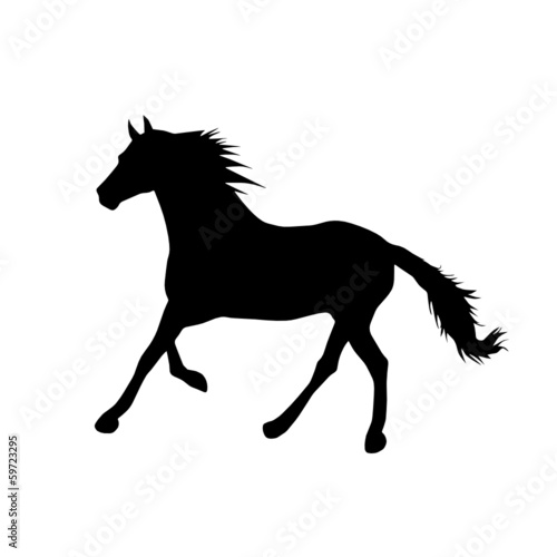 Cavalo