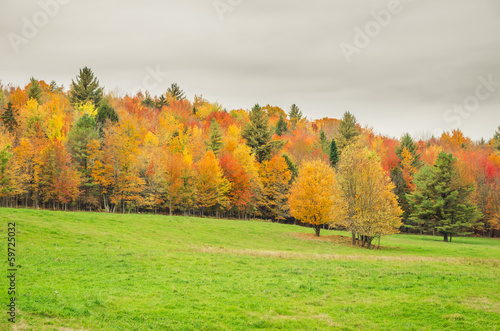 Autumn Landscape and Cloudy Sky