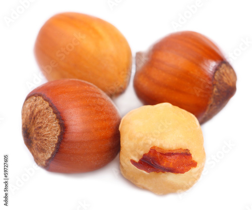 Hazelnuts isolated on white.