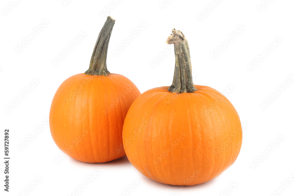 Pumpkins on white background Pumpkins on white background