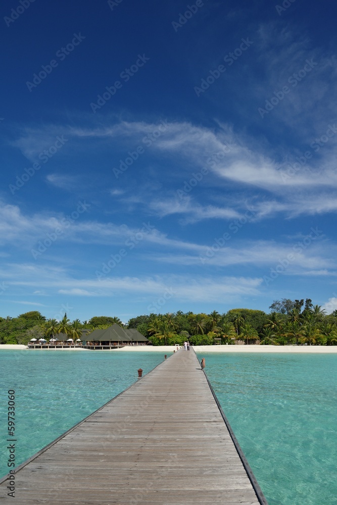 Fototapeta premium tropical beach