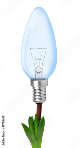 Light bulb on plant isolated on white -
