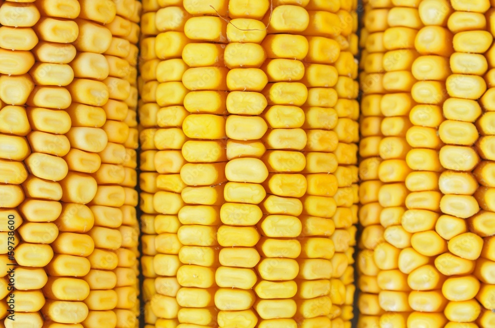 Detail shot of yellow corn kernels for background
