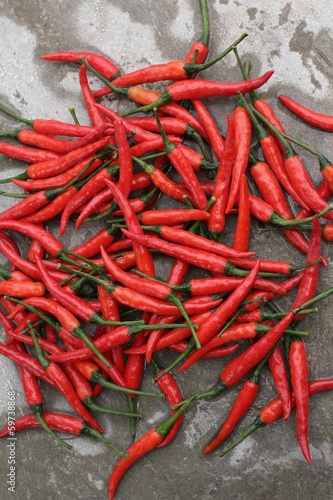 Red chili