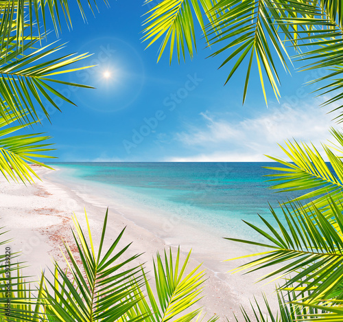 Fototapeta Naklejka Na Ścianę i Meble -  palm frame in a tropical beach