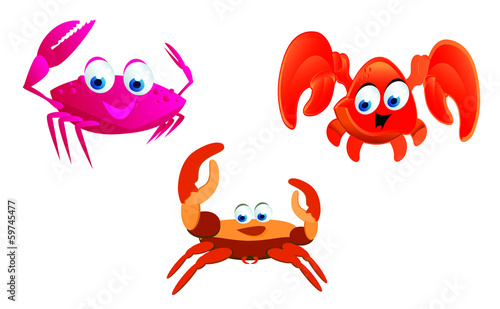 kinds of crab cartoon