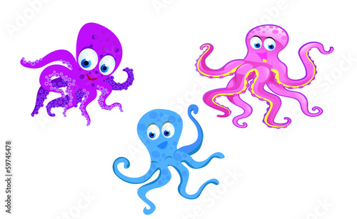 kinds of octopus cartoon