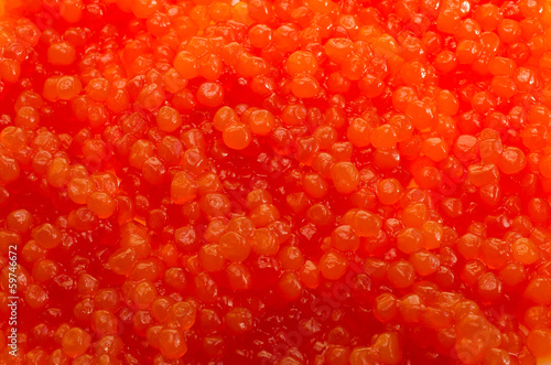 red  caviar macro