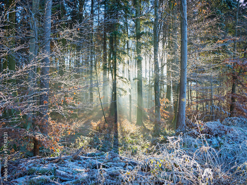 Winterlichter photo