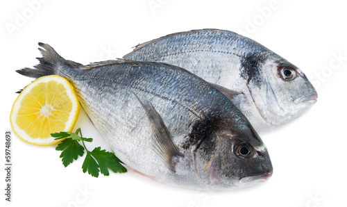 Photography Fresh sea bream with slice of lemon and parsley isolated