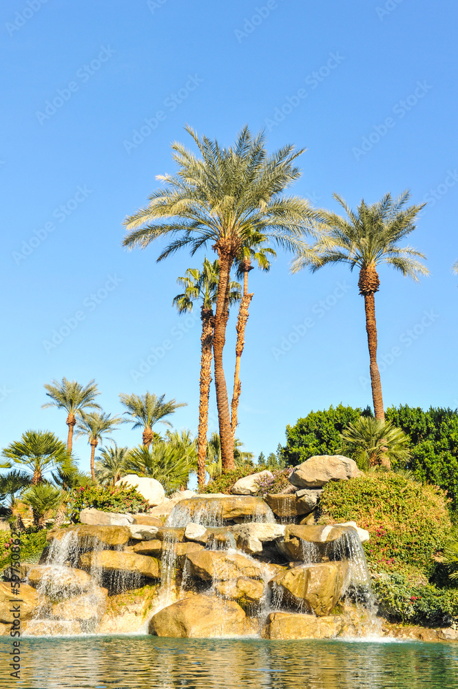 Pool of water with row of palm trees Pool of water with row of palm trees