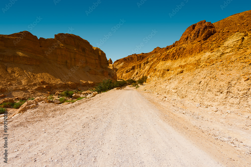 Road in Desert