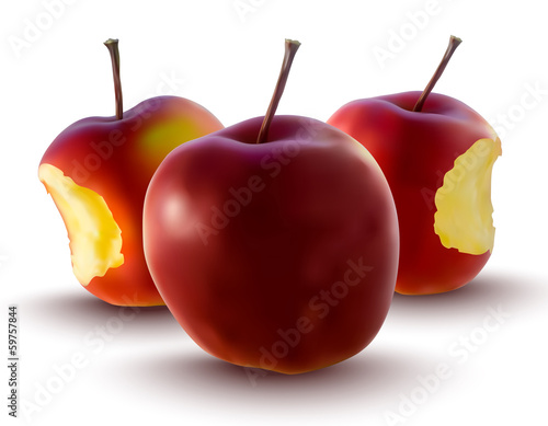 vector illustration of red apples