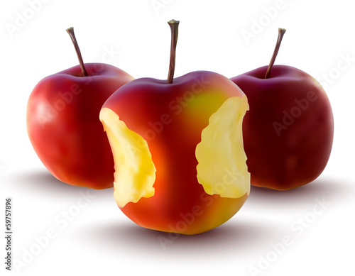 vector illustration of red apples