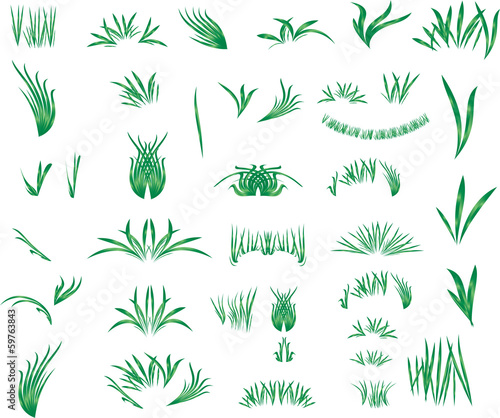 The grass