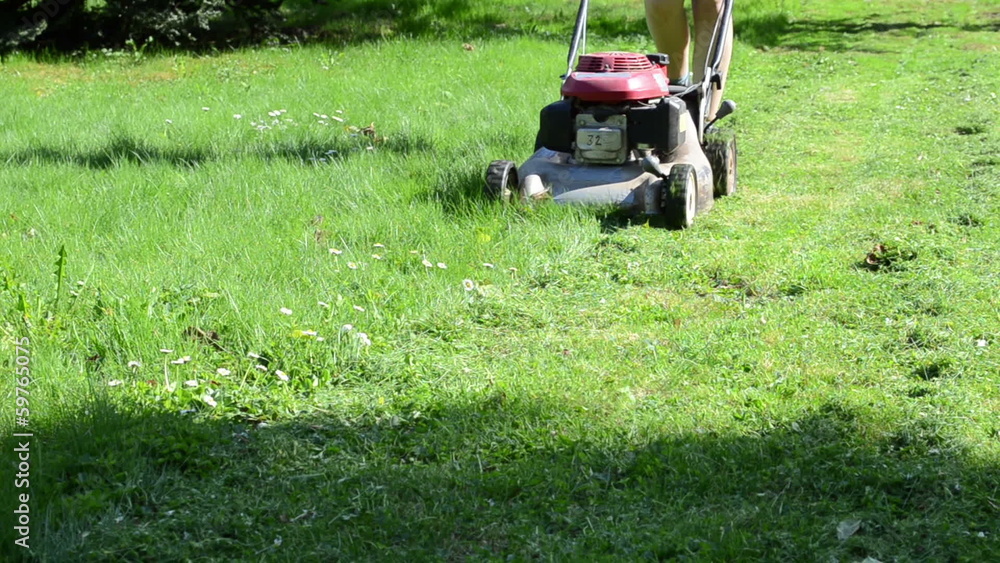 Person walk behind lawn mower on meadow green grass.