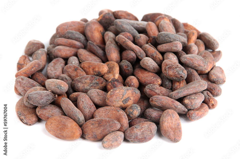 Cocoa beans isolated on white Cocoa beans isolated on white