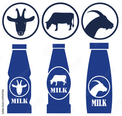 Milk